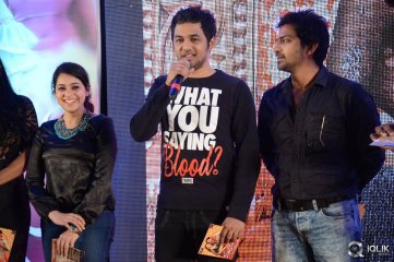 Maga Maharaju Movie Audio Launch